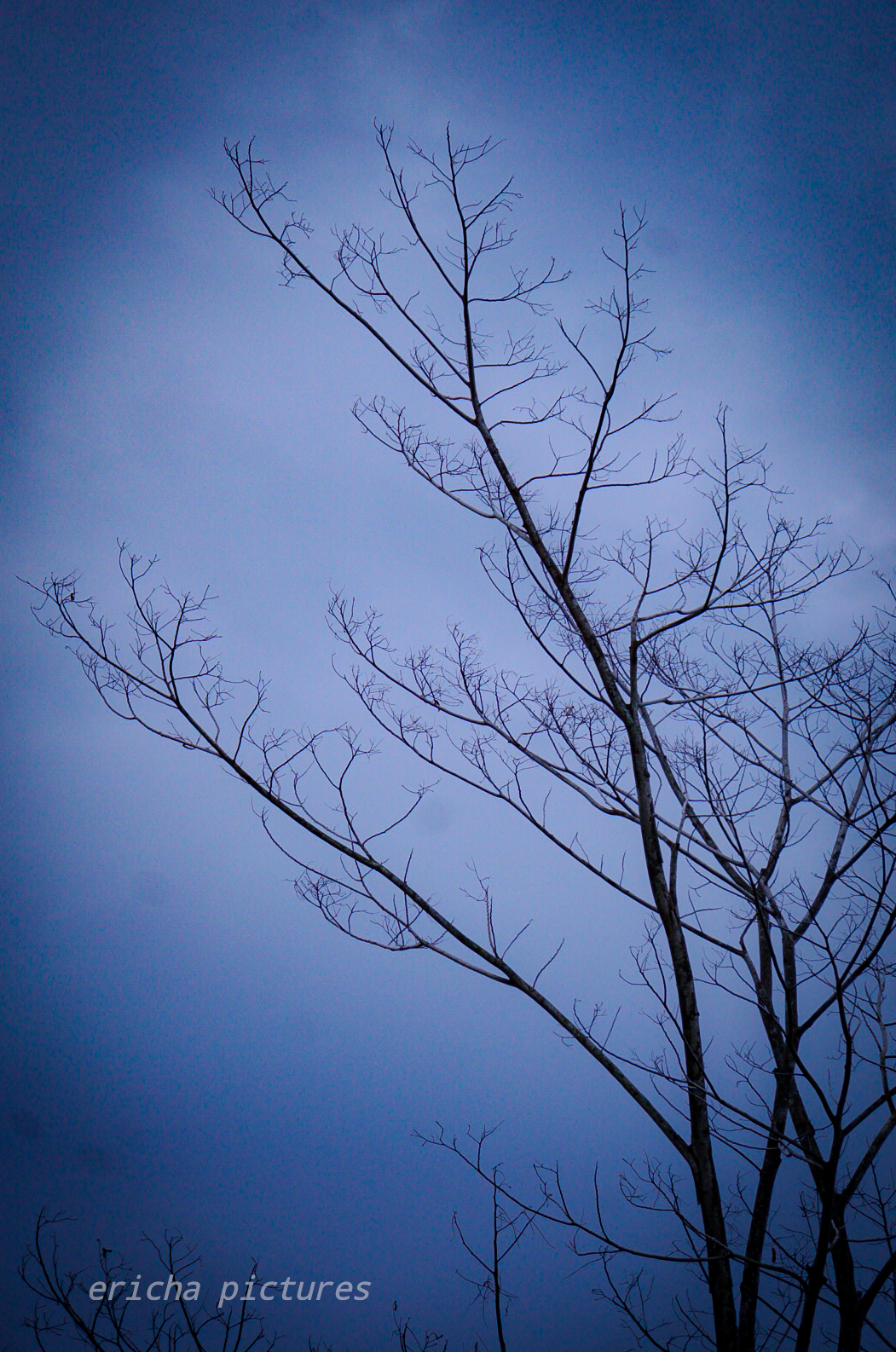 DSC02934_1.jpg