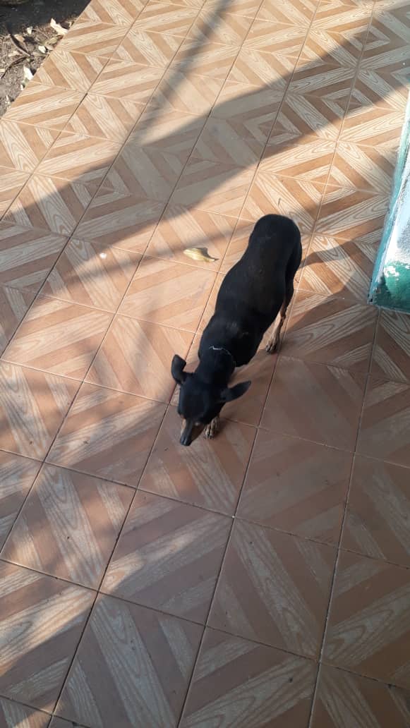 IMG-20190305-WA0017.jpg