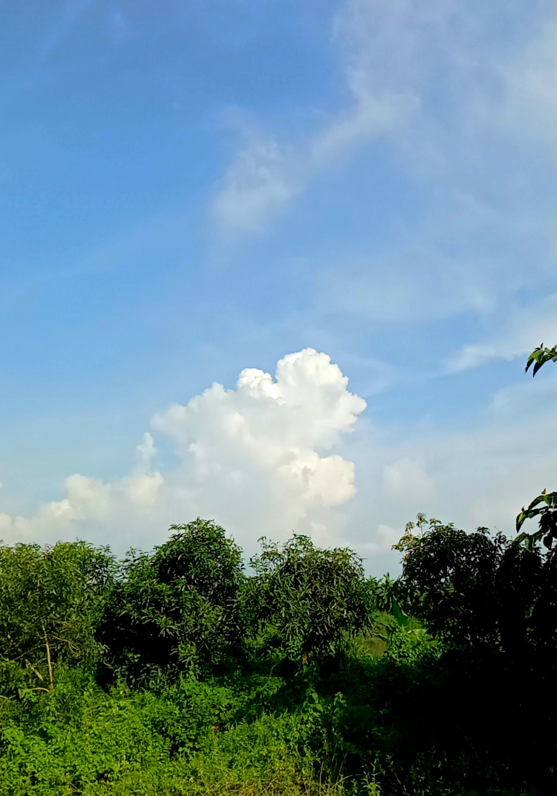 20210806_192746.jpg