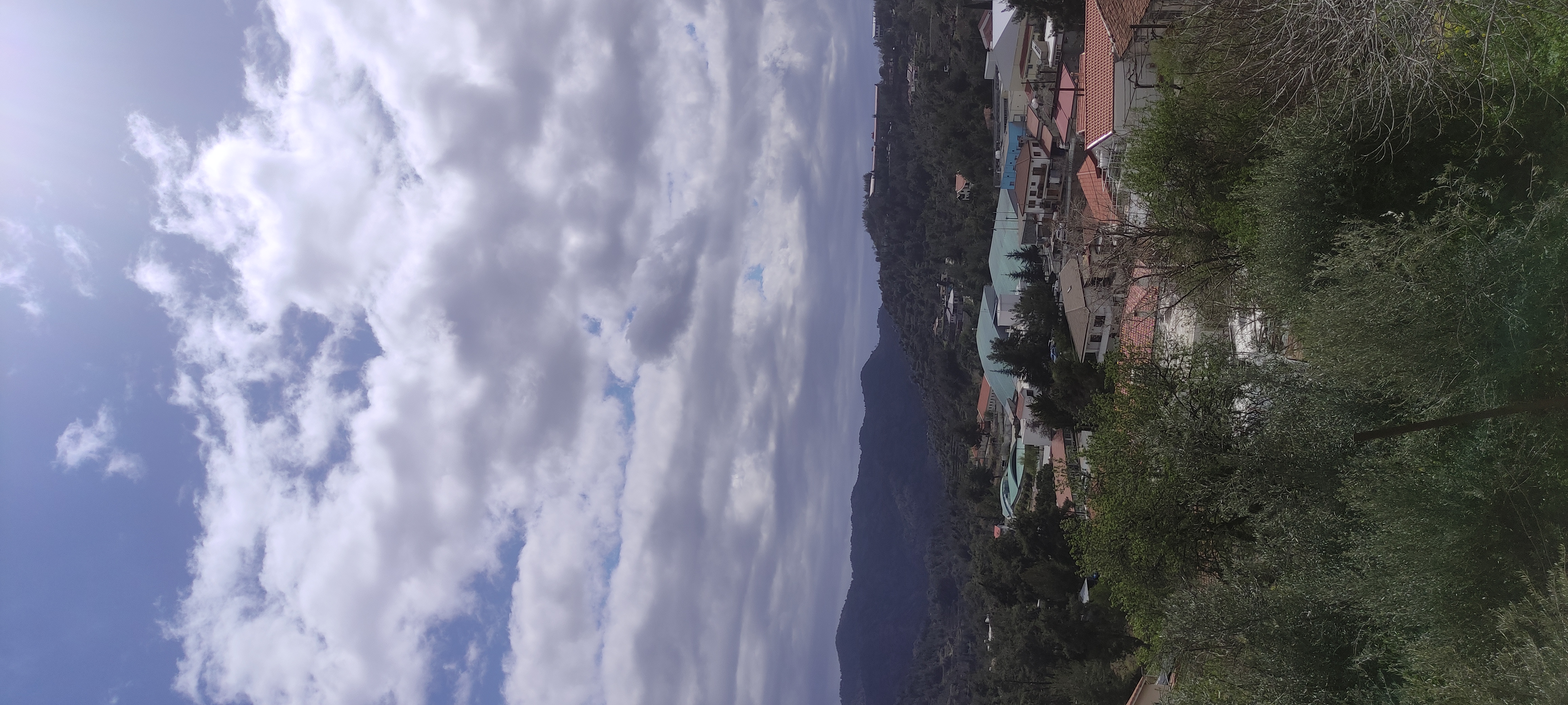 IMG_20250320_124913.jpg