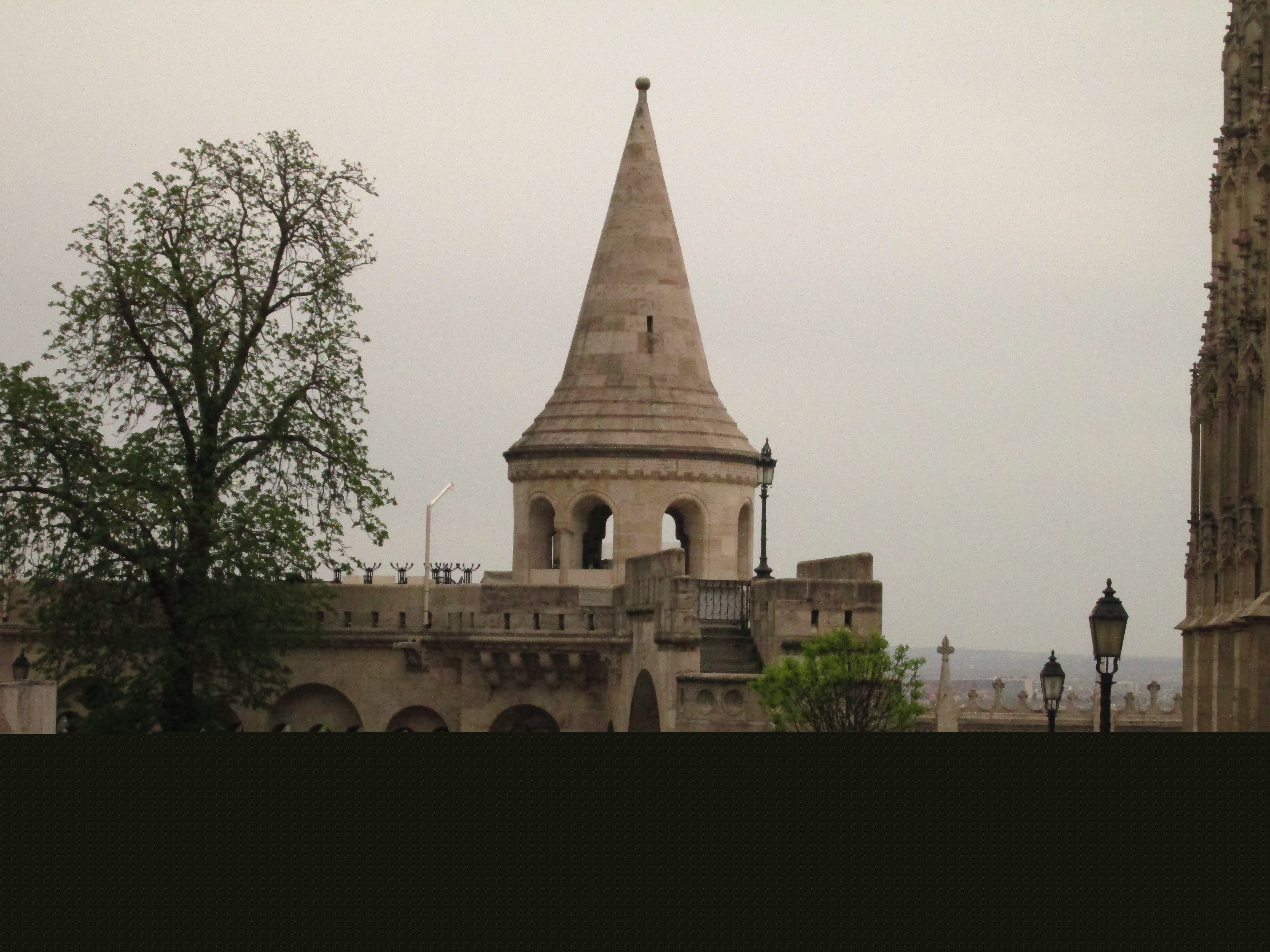 IMG_2964.JPG