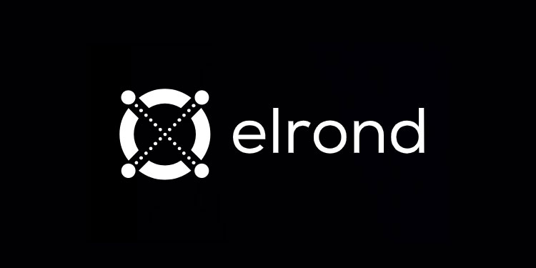 after-announcing-launch-of-payments-app-elrond-egold-egld-lists-on-etorox.jpg