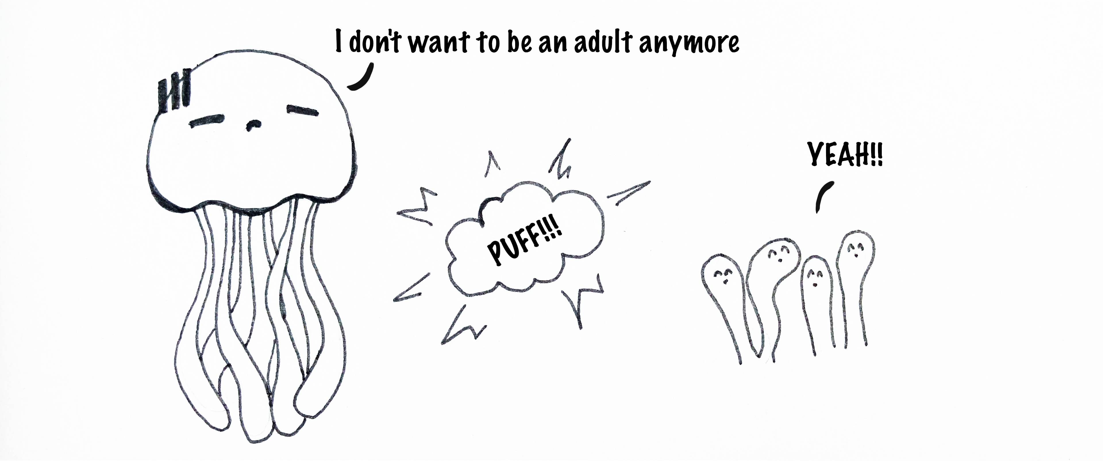 adult.png