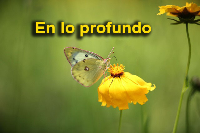 portada.jpg