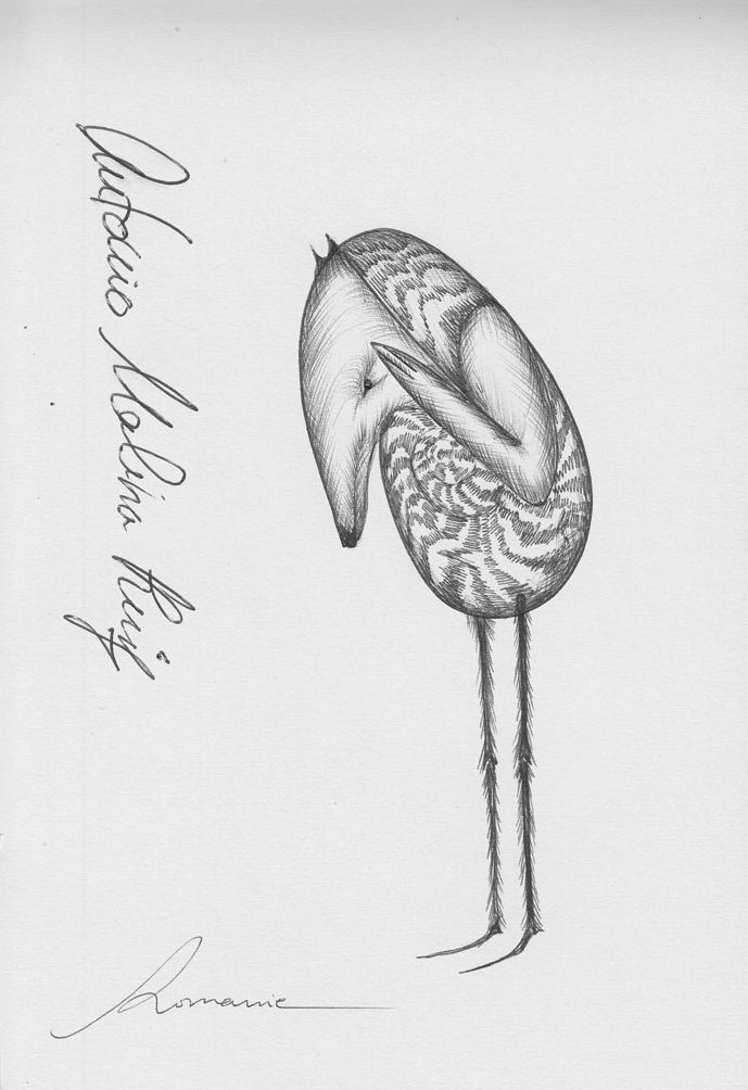 dibujo861B.jpg