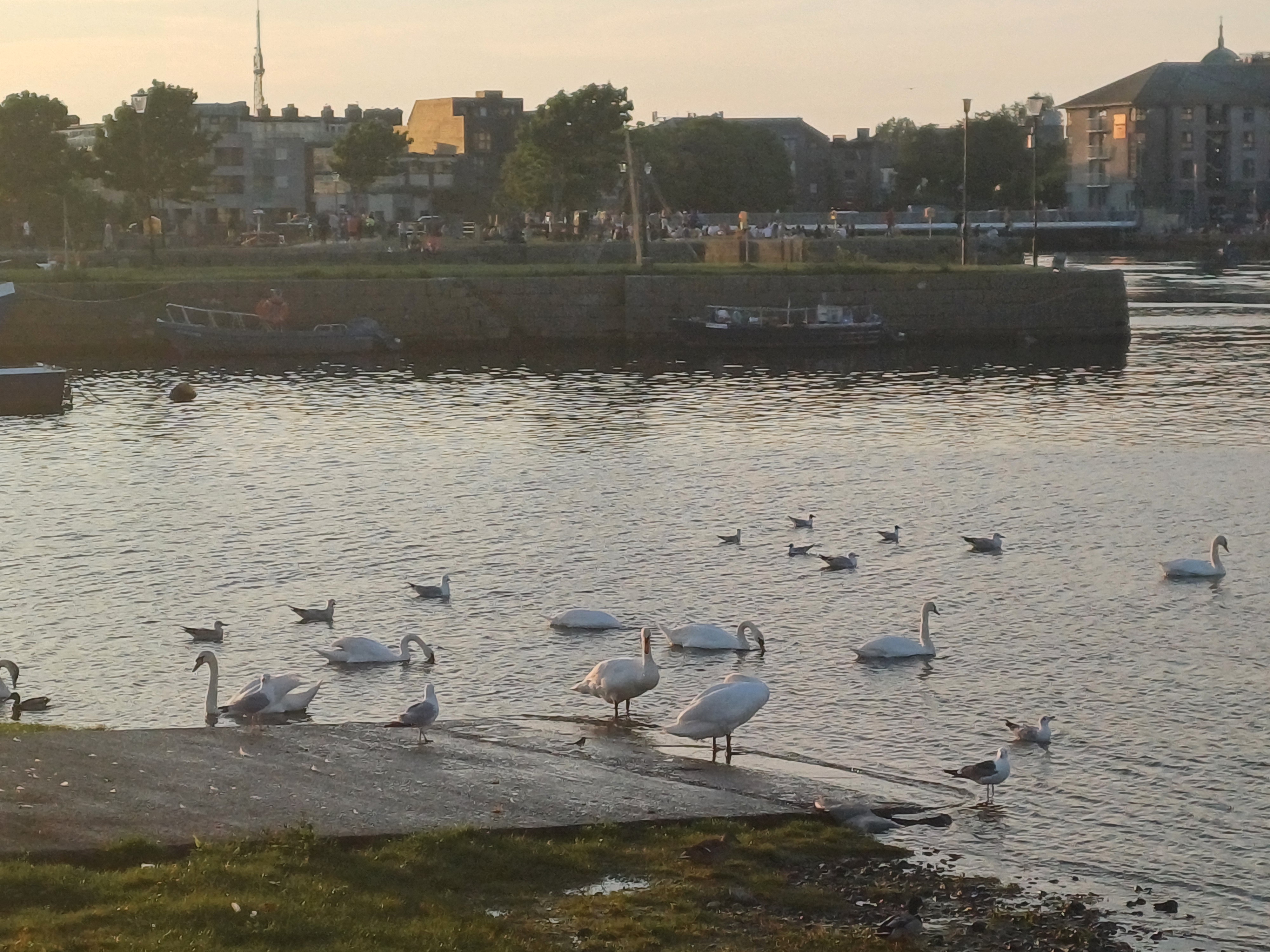 20250514_203712.jpg