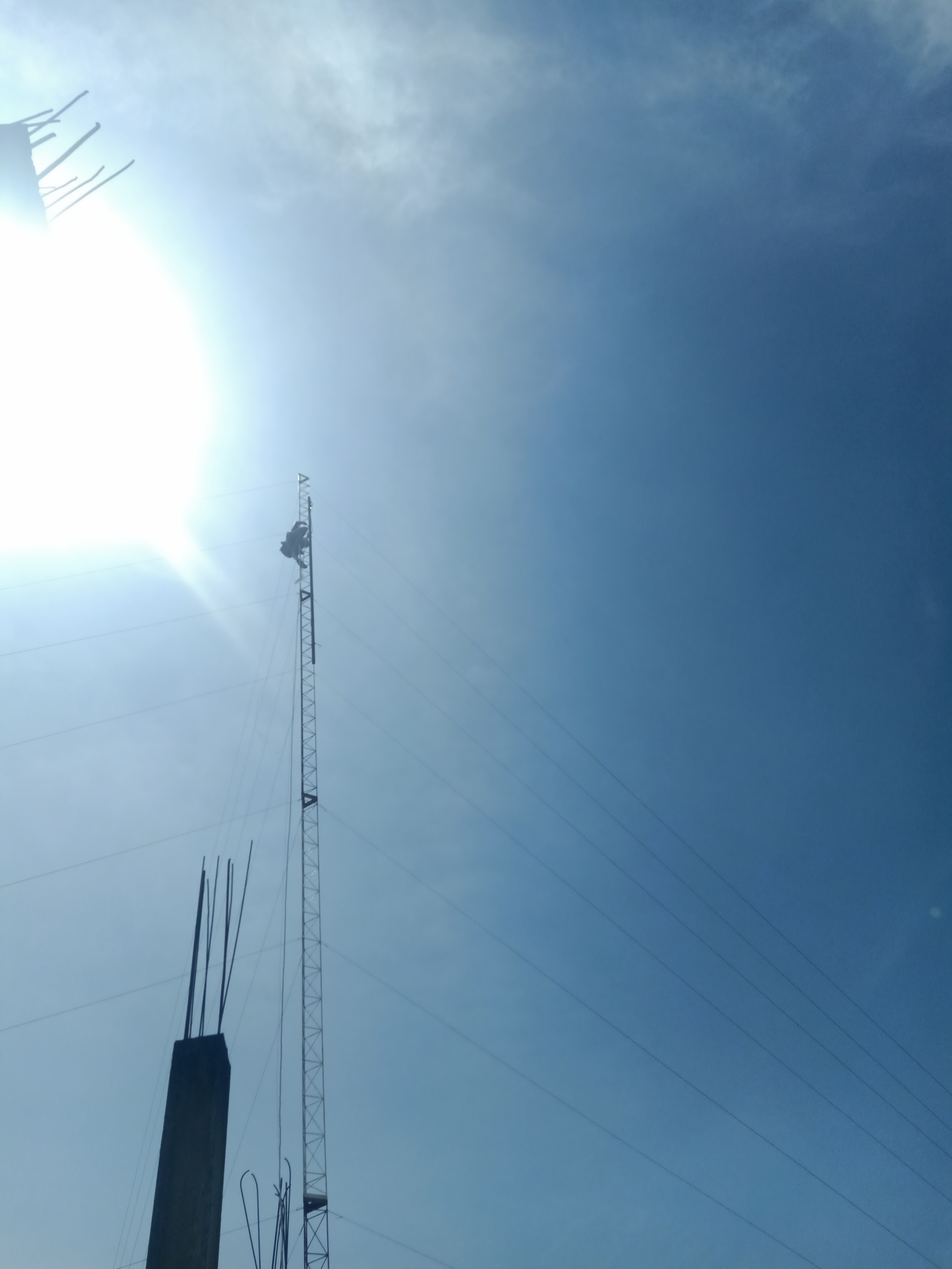 IMG20230212135021.jpg