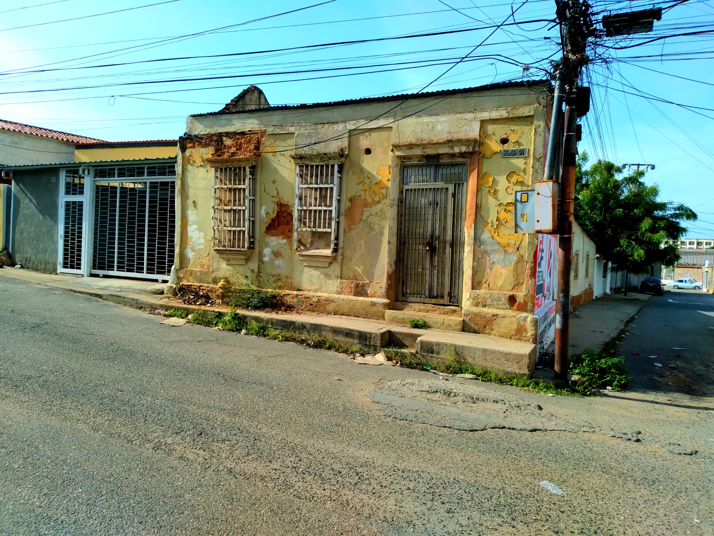 20250604_085631.jpg