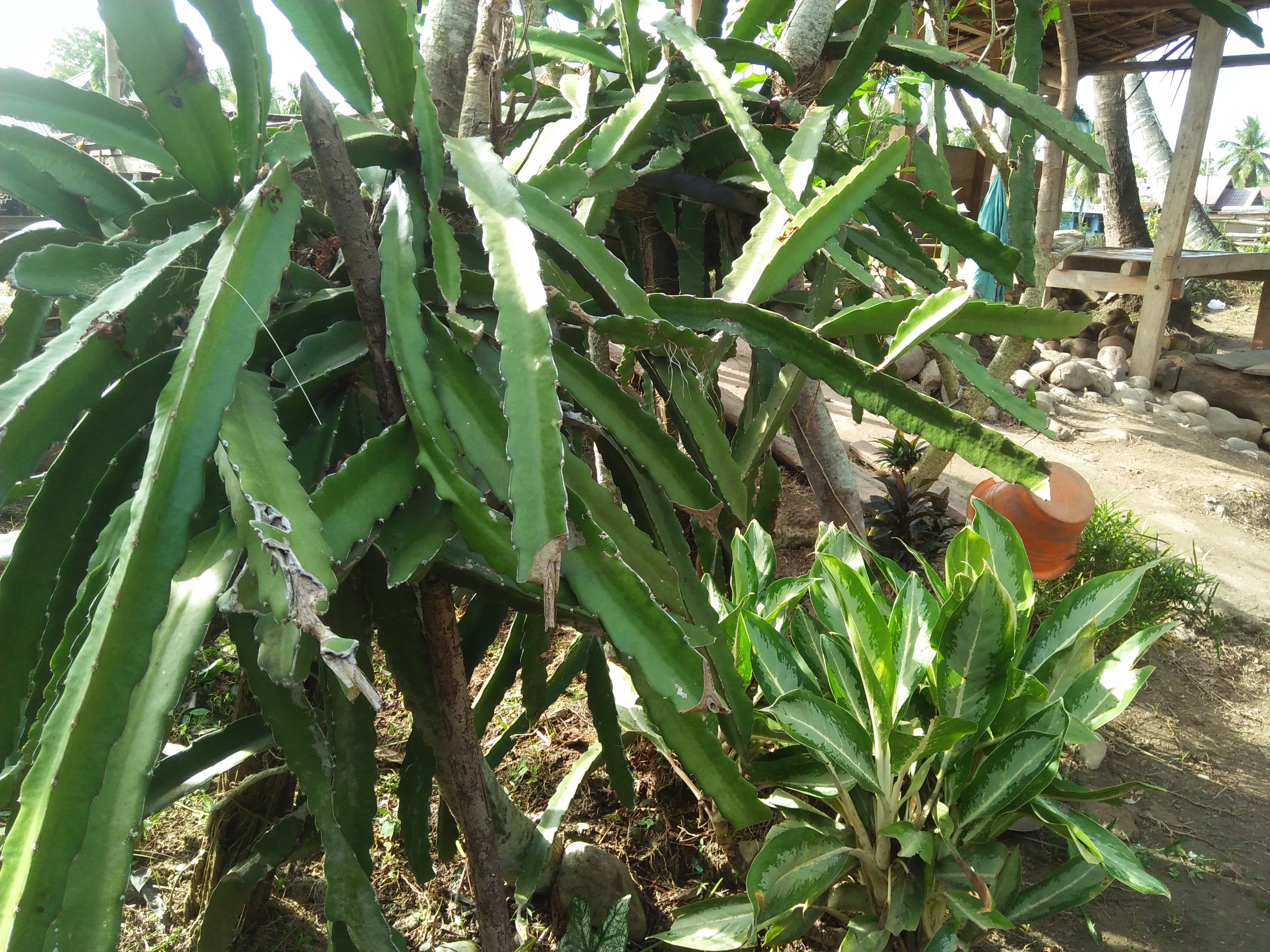 IMG20250129155554.jpg