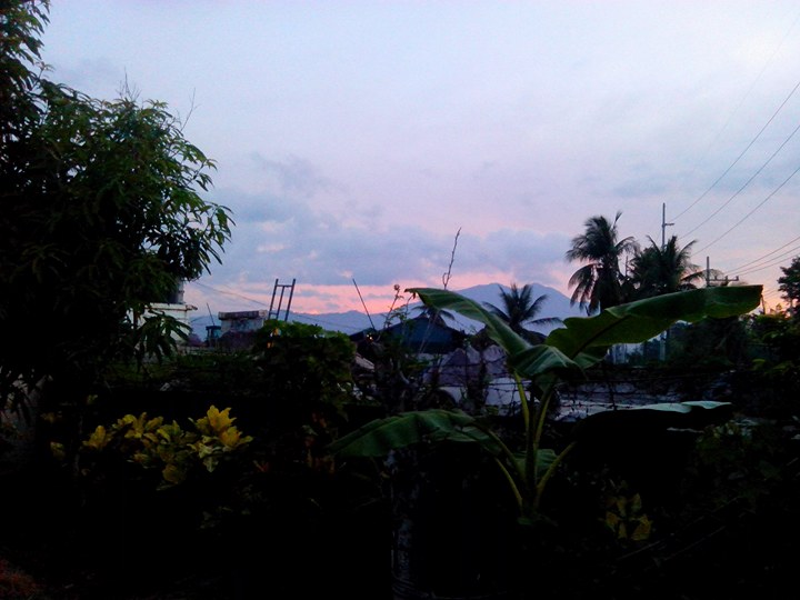 fruit trees mango and banana in our garden.jpg