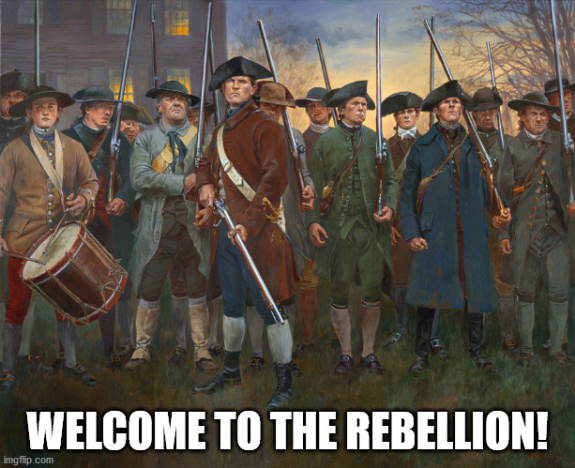 Screenshot_2021-02-05 revolutionary militia Meme Generator - Imgflip(1).png