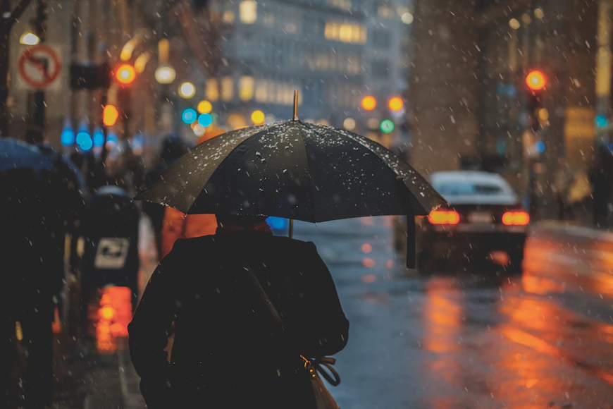 C43DC79D-A3B0-4412-A120-13BEF72182A9.webp