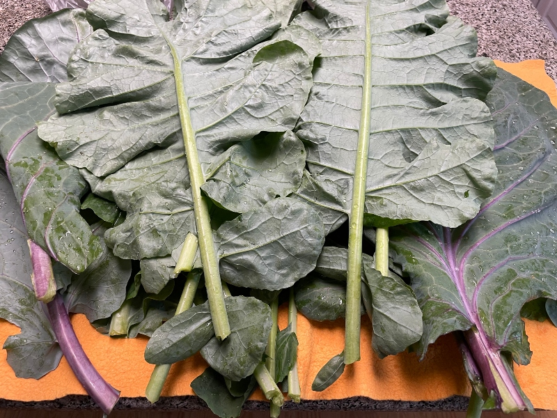 foodiesbeehive-dehydrating-cabbage-1.jpg