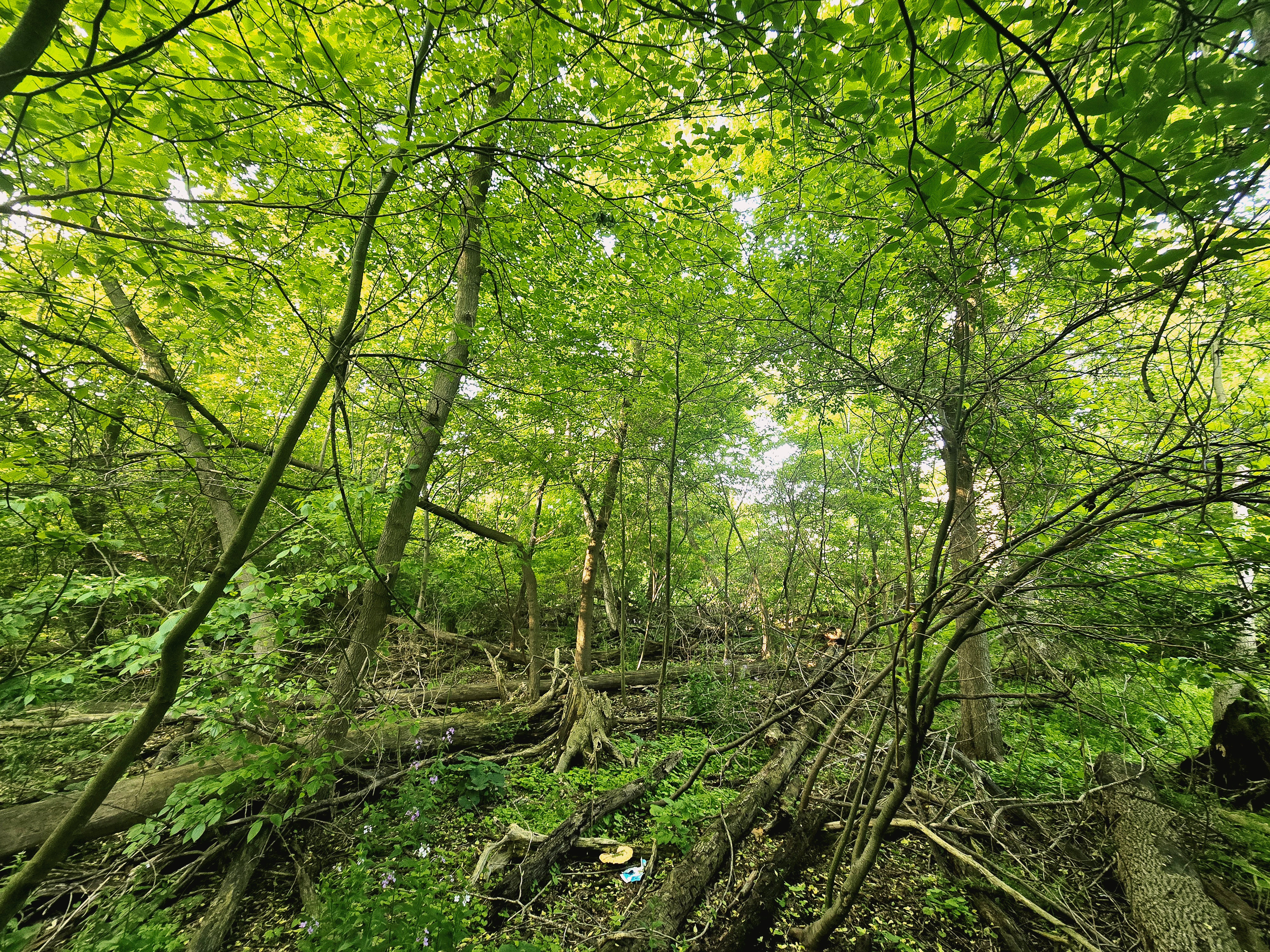 20250602_081740.jpg
