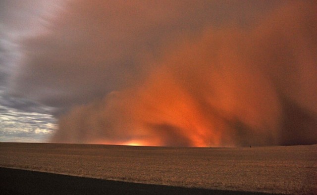 desert storm.jpg