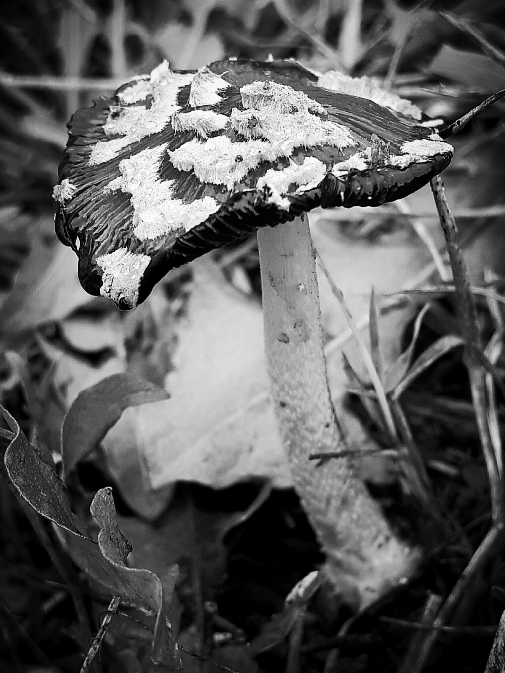 20201106_200342.jpg