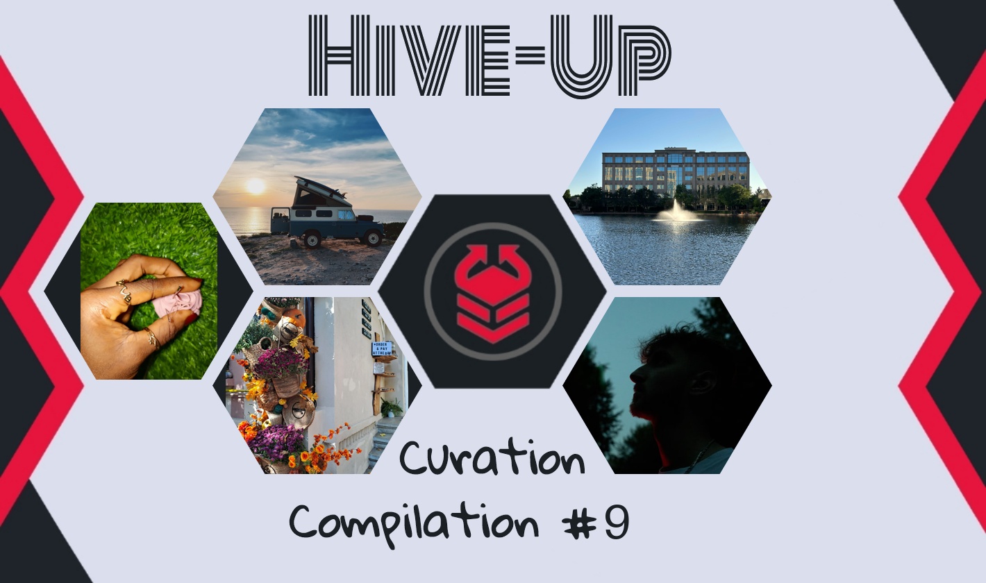 hive-up_9.jpg