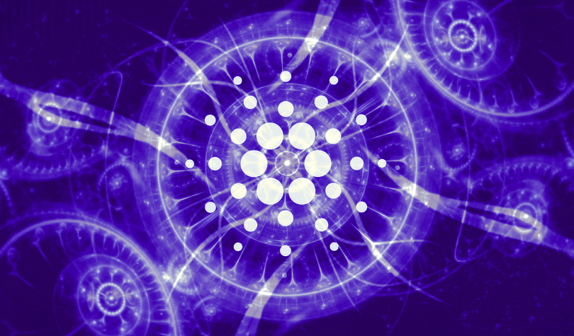 cardano-ecosystem-growth-12-purple.jpg