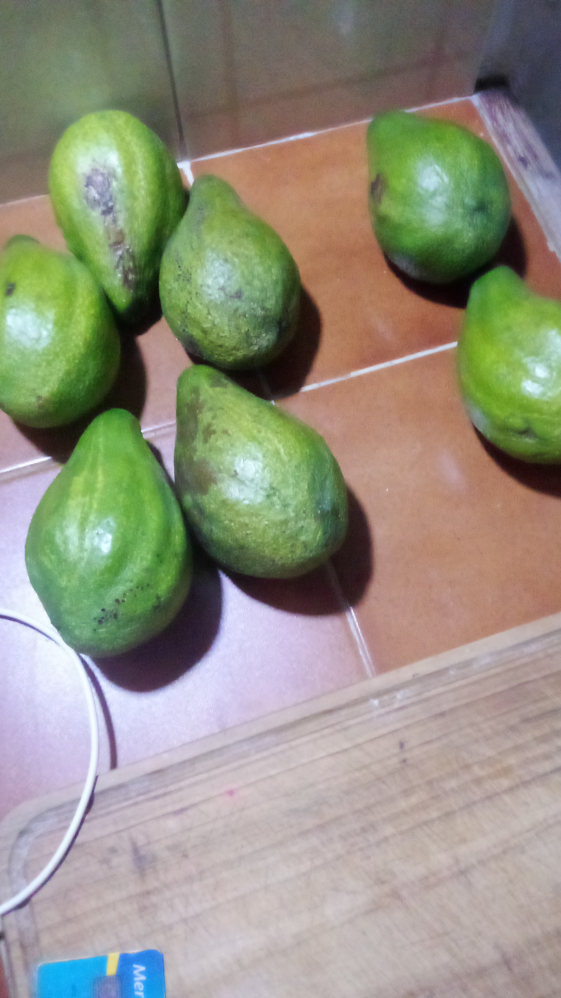 IMG-20250614-WA0328.jpeg
