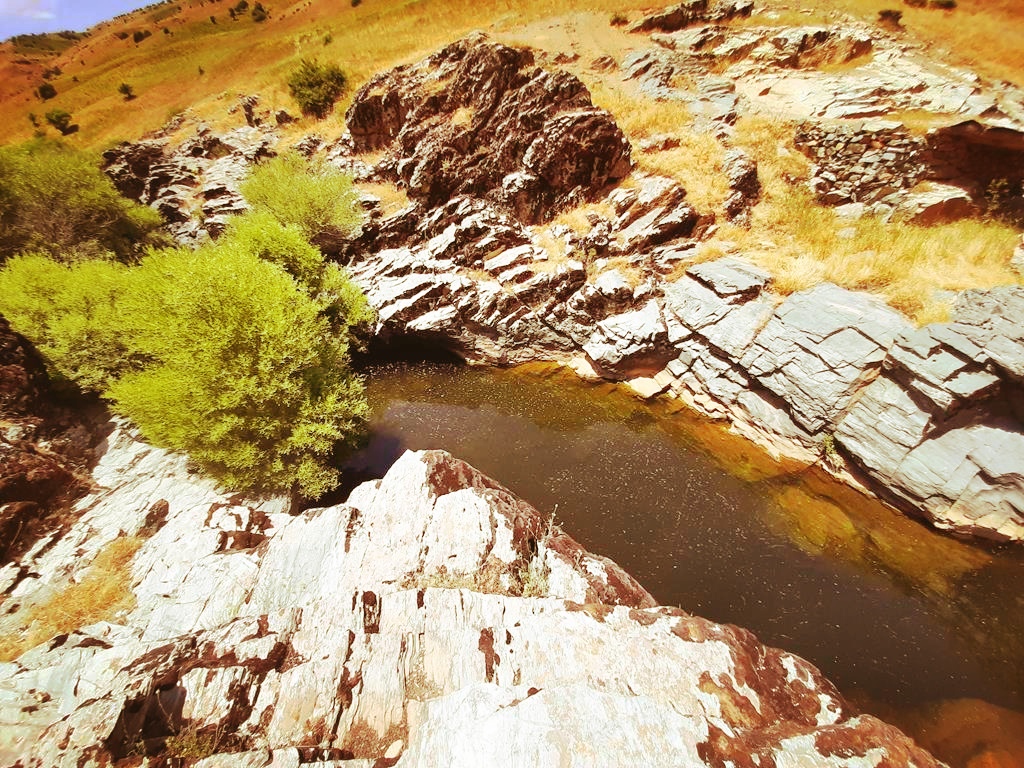 20250611_114334_edit_134067067584227.jpg