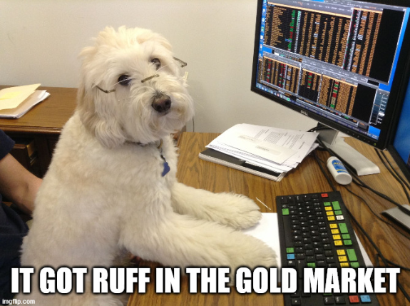 Screenshot_2020-09-17 Stock Broker Dog Meme Generator - Imgflip.png