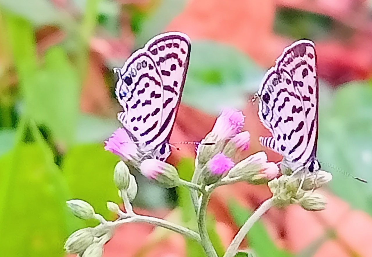 BeautyPlus_20250721224244981_save.jpg