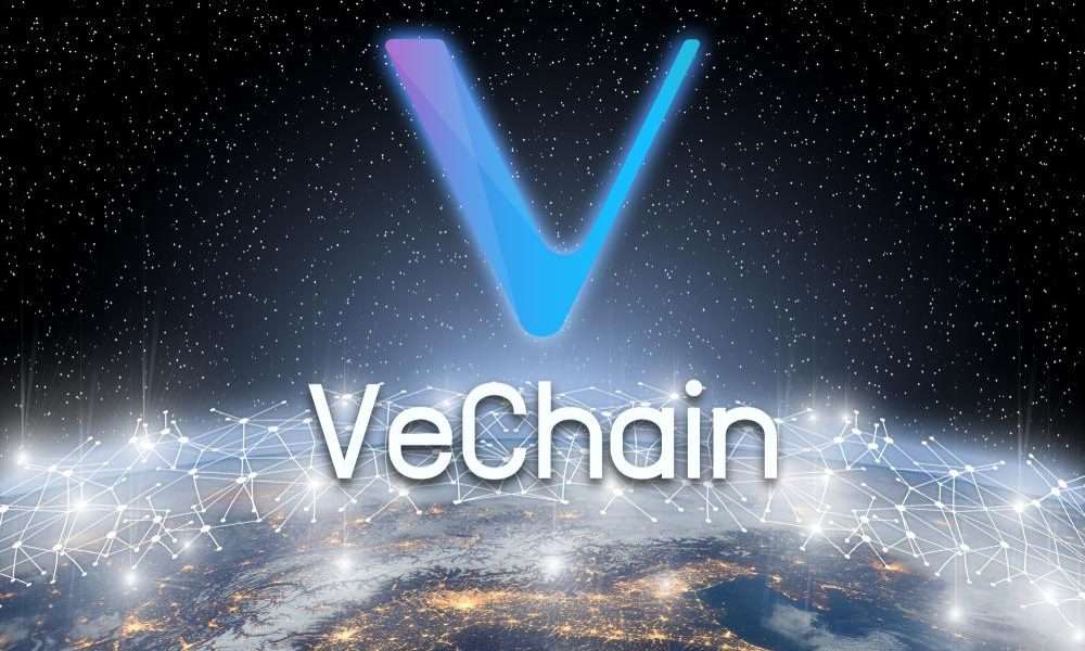 @cryptoandcoffee/the-burn-rate-is-the-only-adoption-that-counts-with-the-vechain