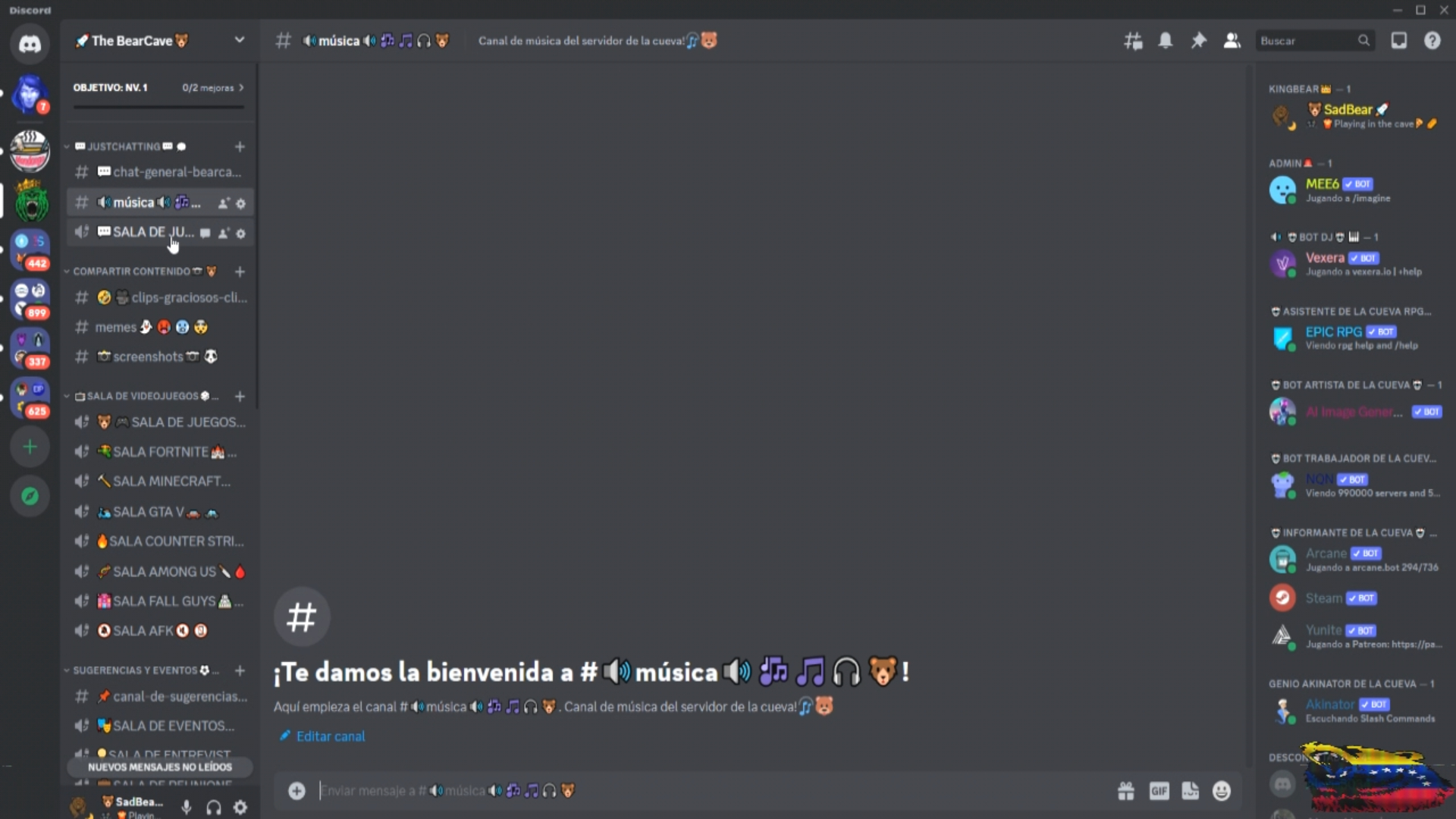 video servidor de discord (2).jpg