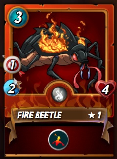 Fire Beetle.jpeg
