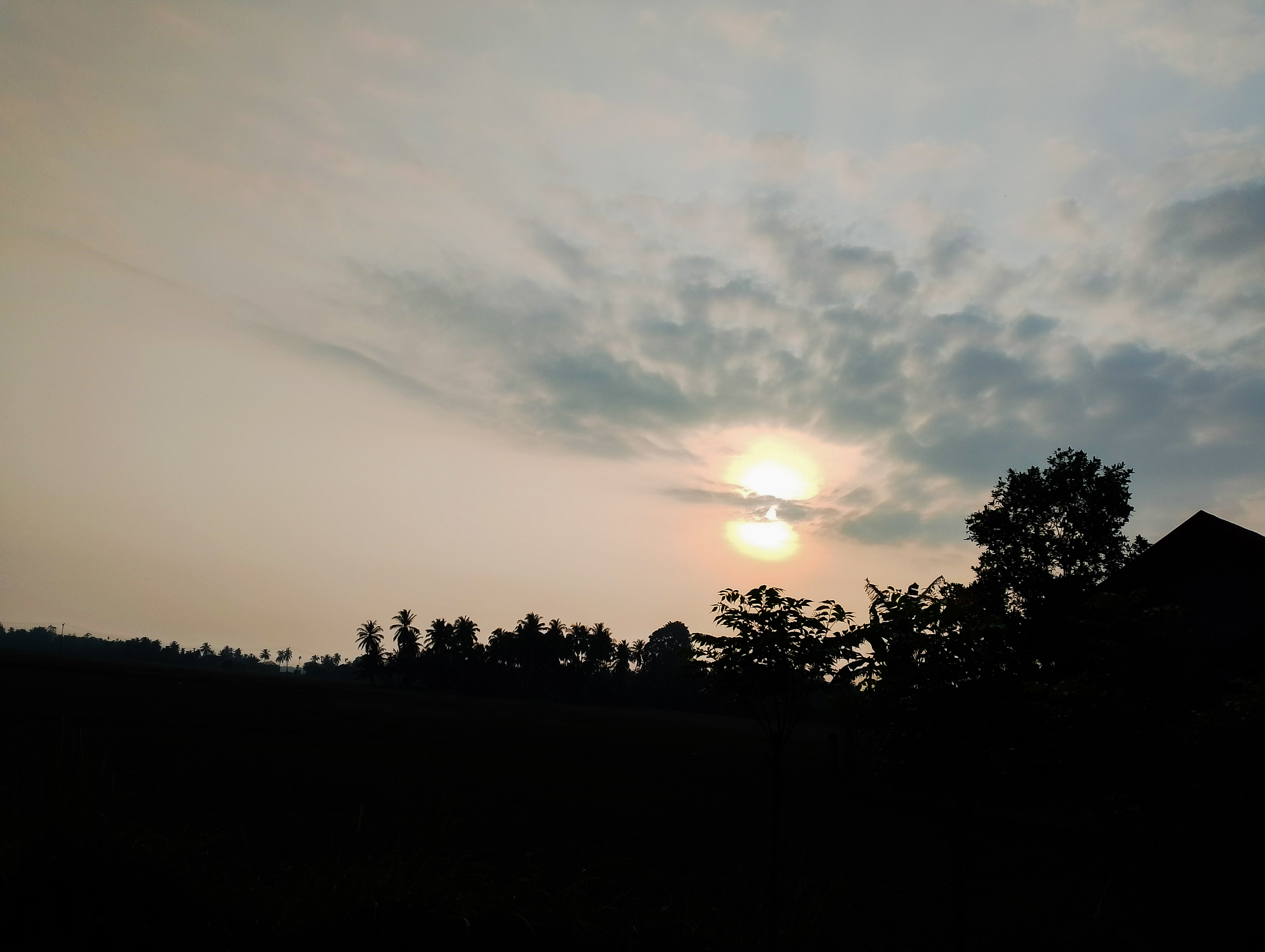 PSX_20240528_122937.jpg