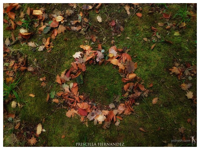 autumnring -640- by Priscilla Hernandez.jpg