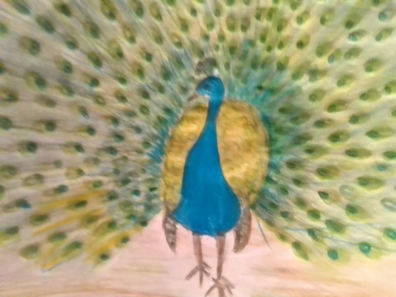 How to Draw an Easy Peacock - Really Easy Drawing Tutorial