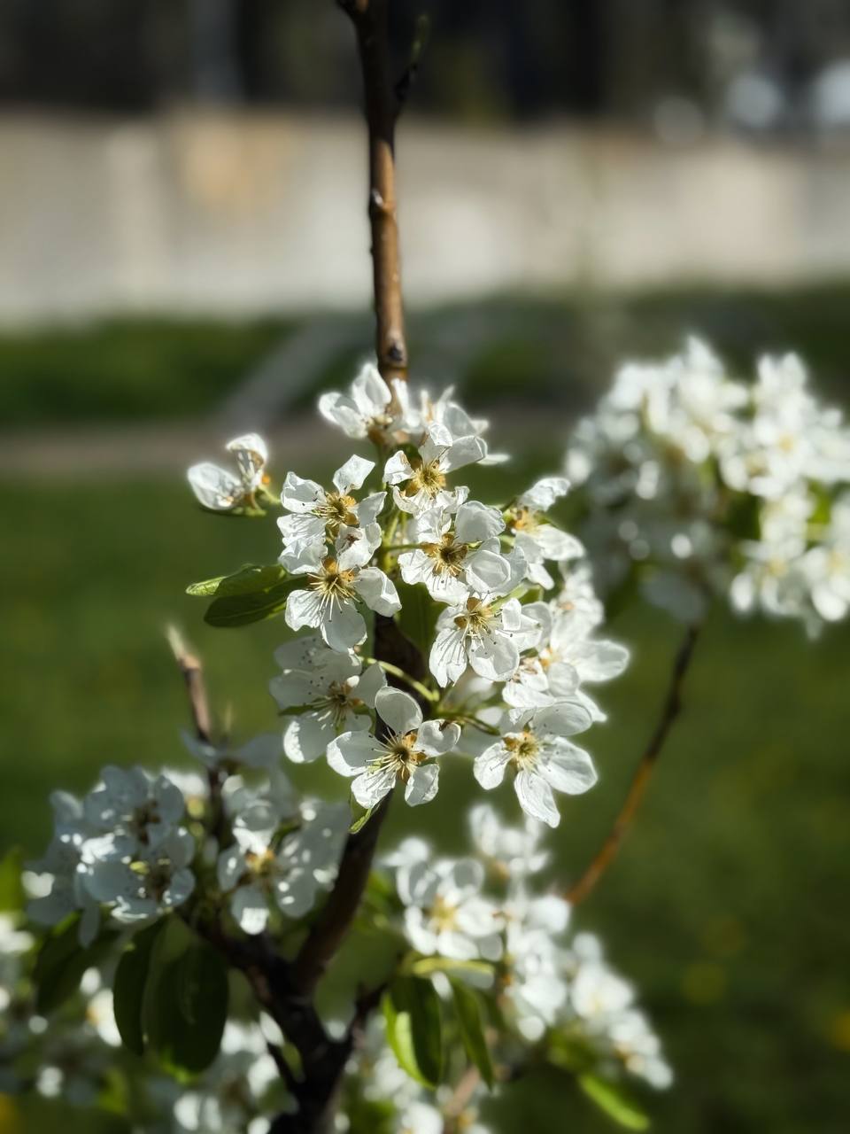 IMG_2479.jpeg