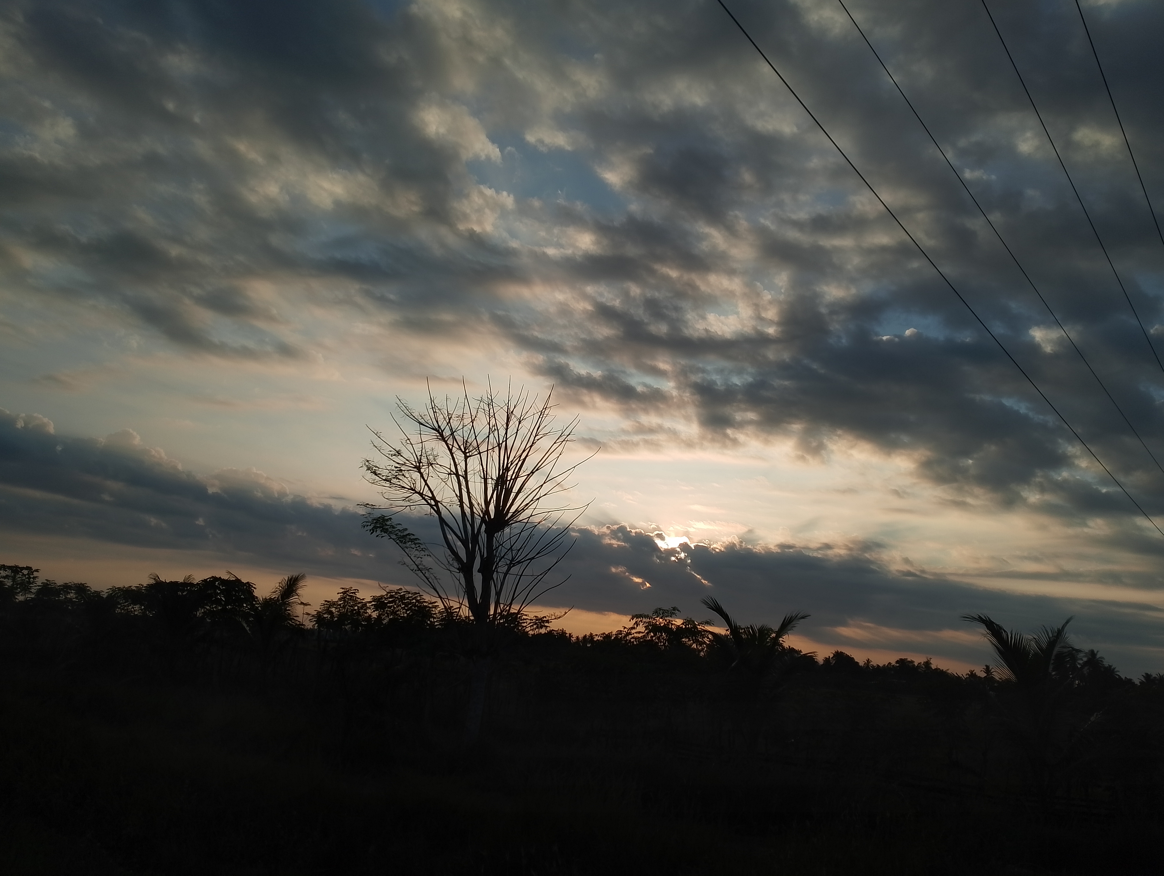 IMG_20250501_064858.jpg