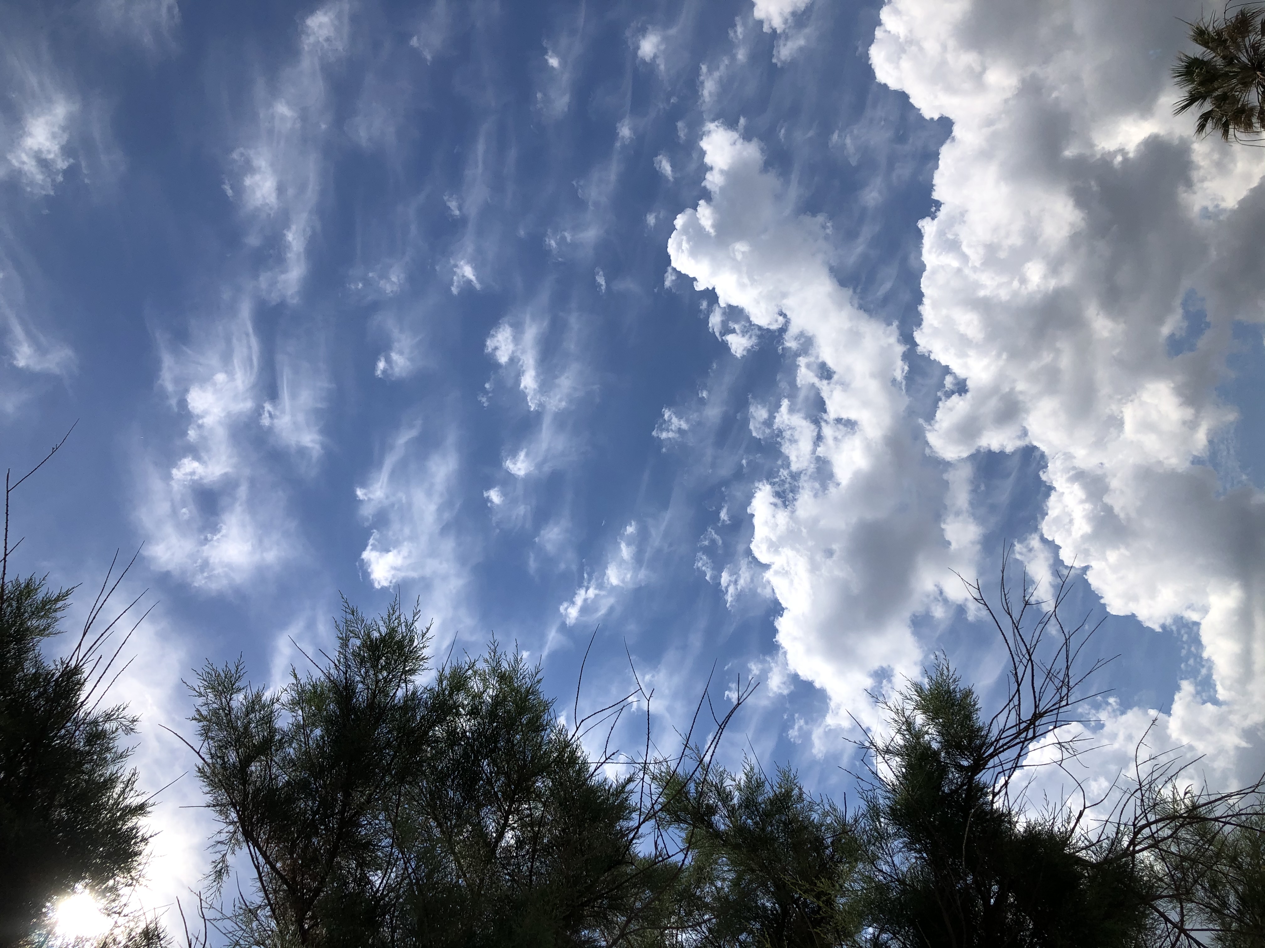 61A2E22D-F69B-4D59-964B-6DE4851F9C52.jpeg