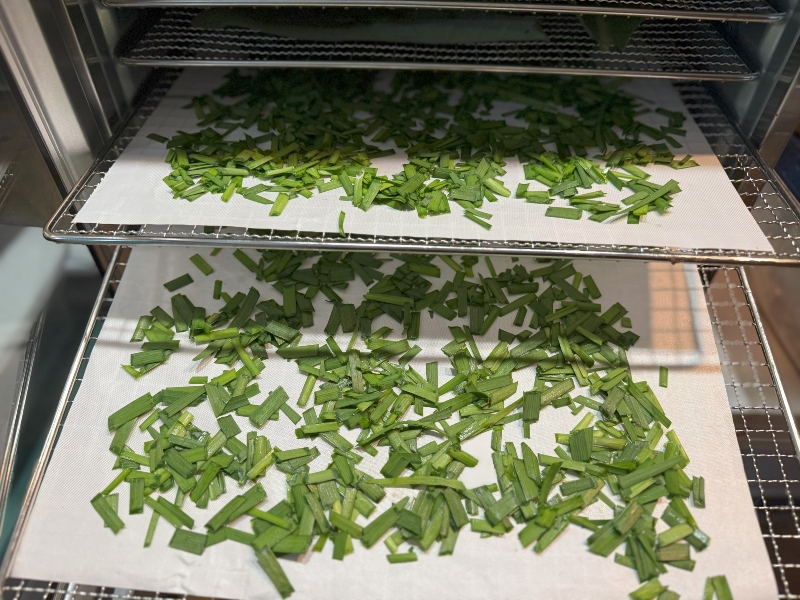 hivegarden-garlic-chives-dehydrator.jpg