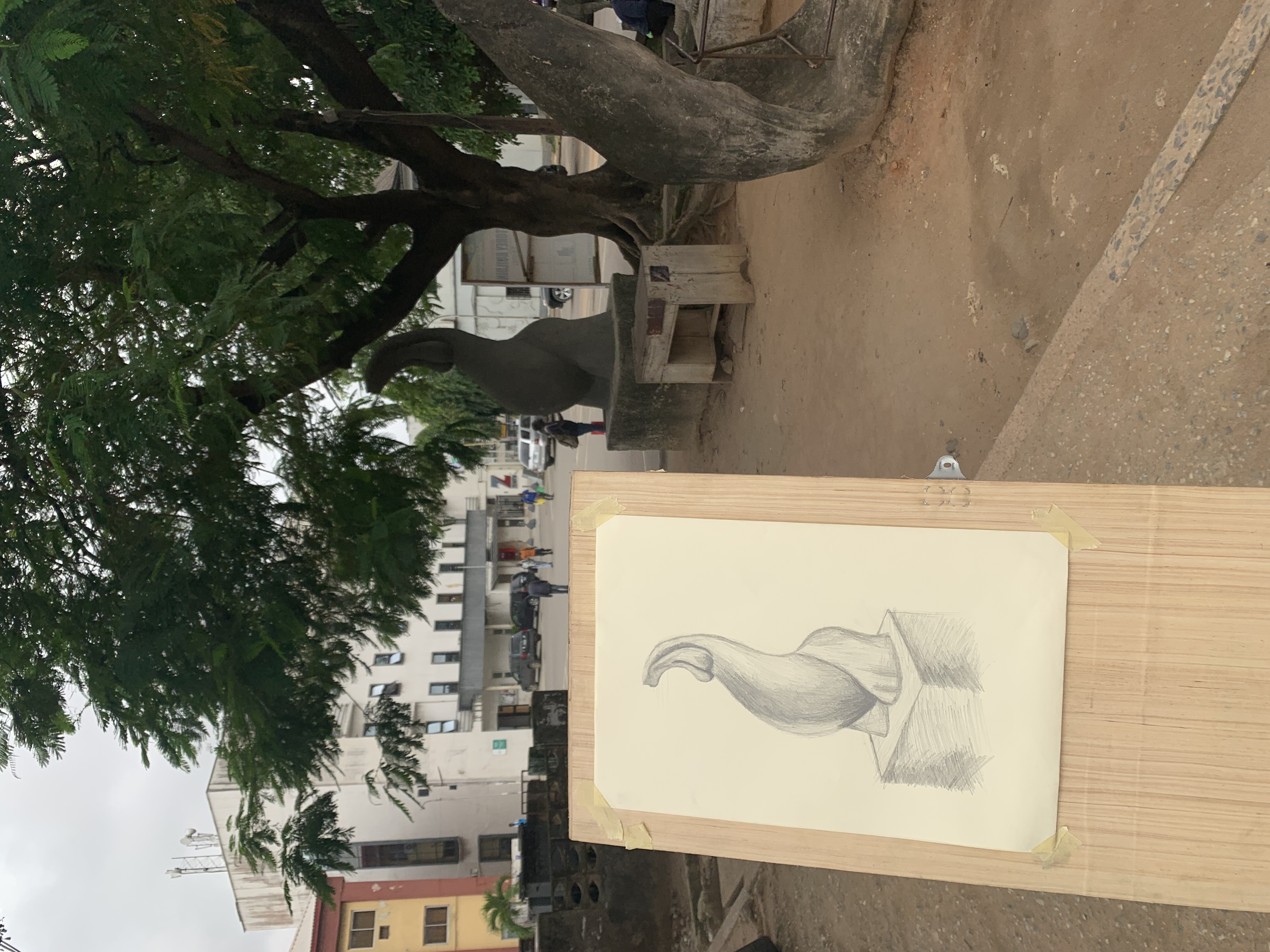 IMG_0164.jpeg