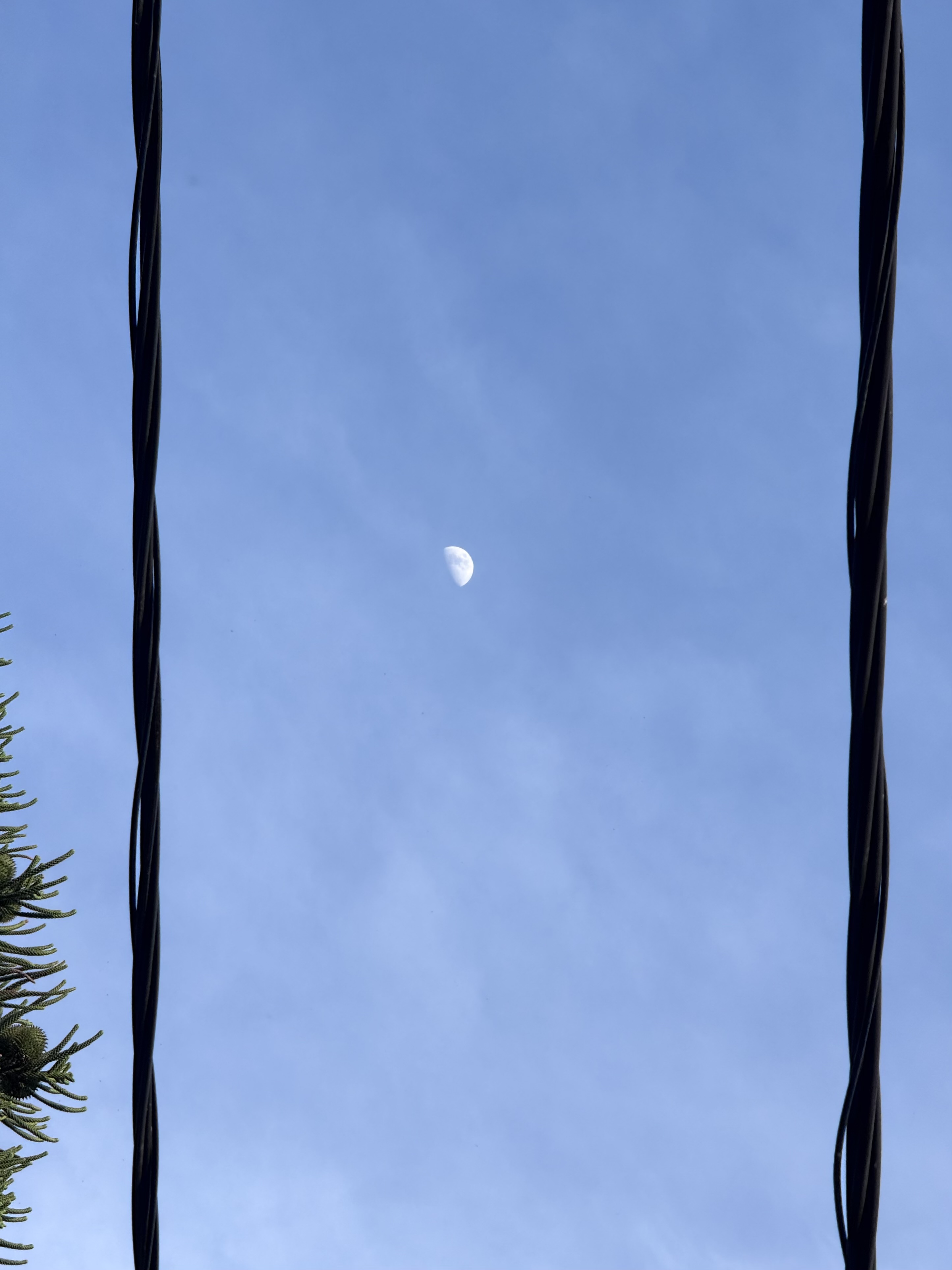 IMG_6948.jpeg