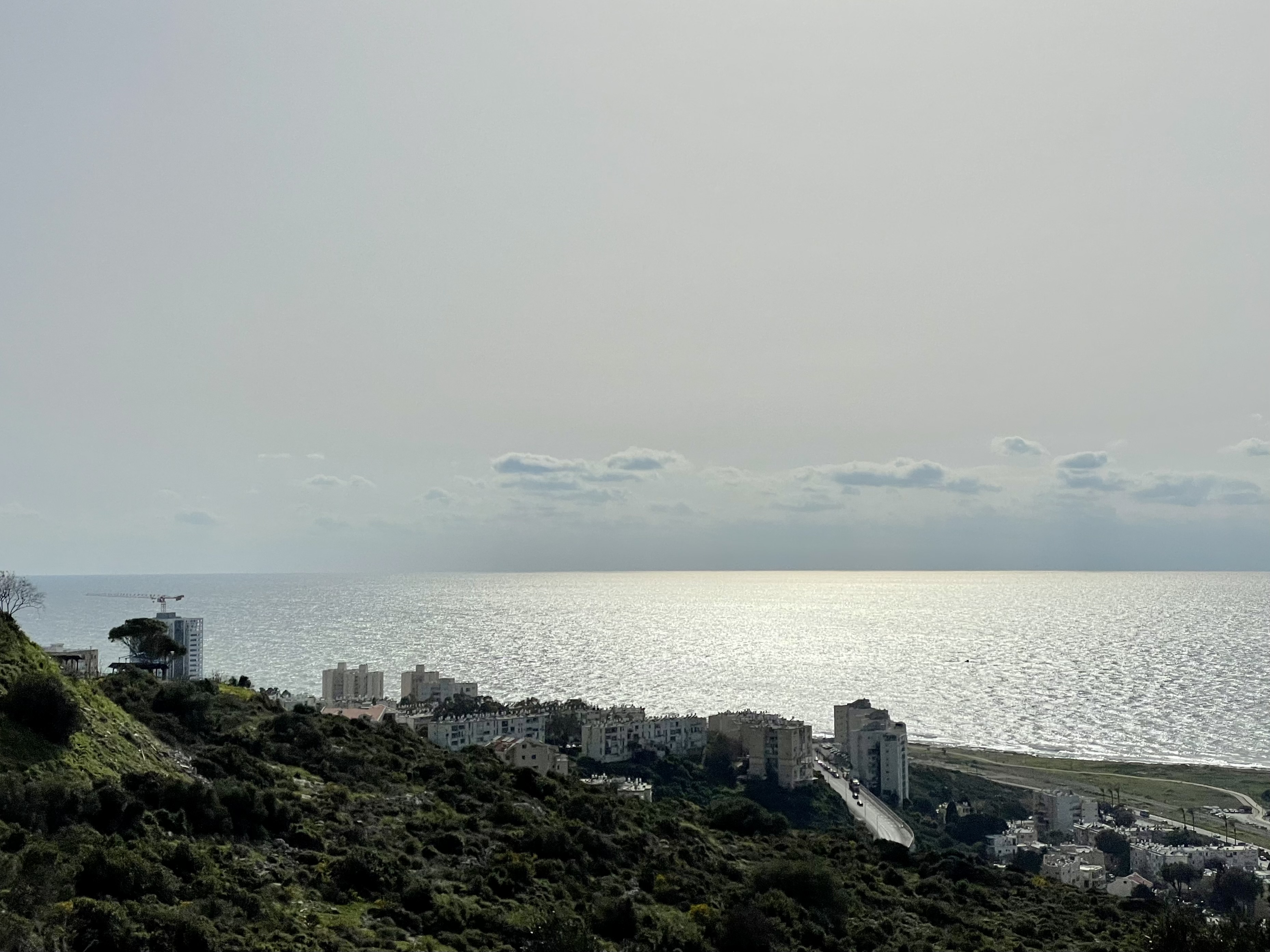 IMG-4287.jpg