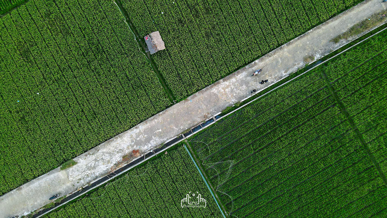 DJI_0342.JPG