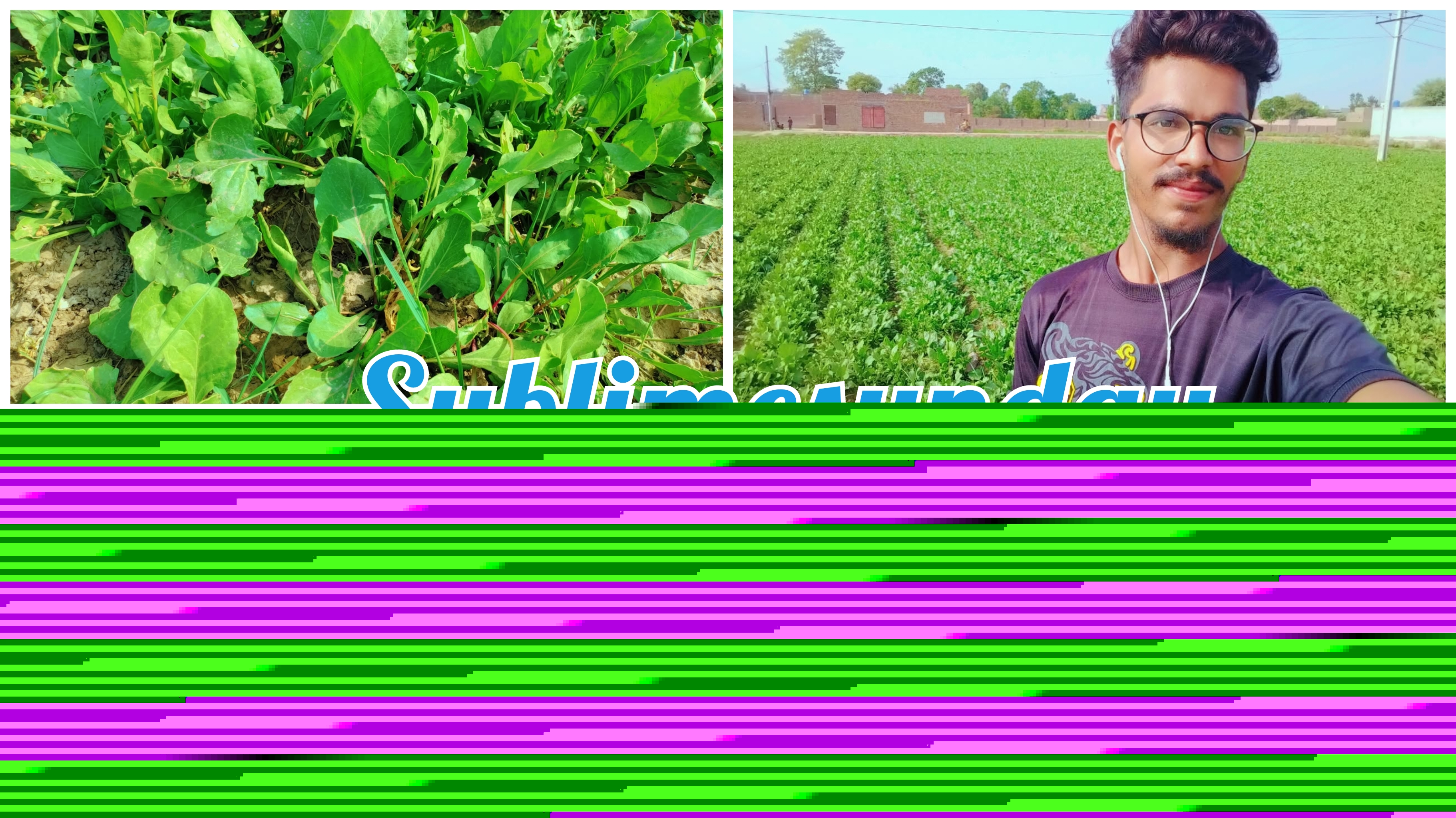PhotoCollage_1754452617554.jpg