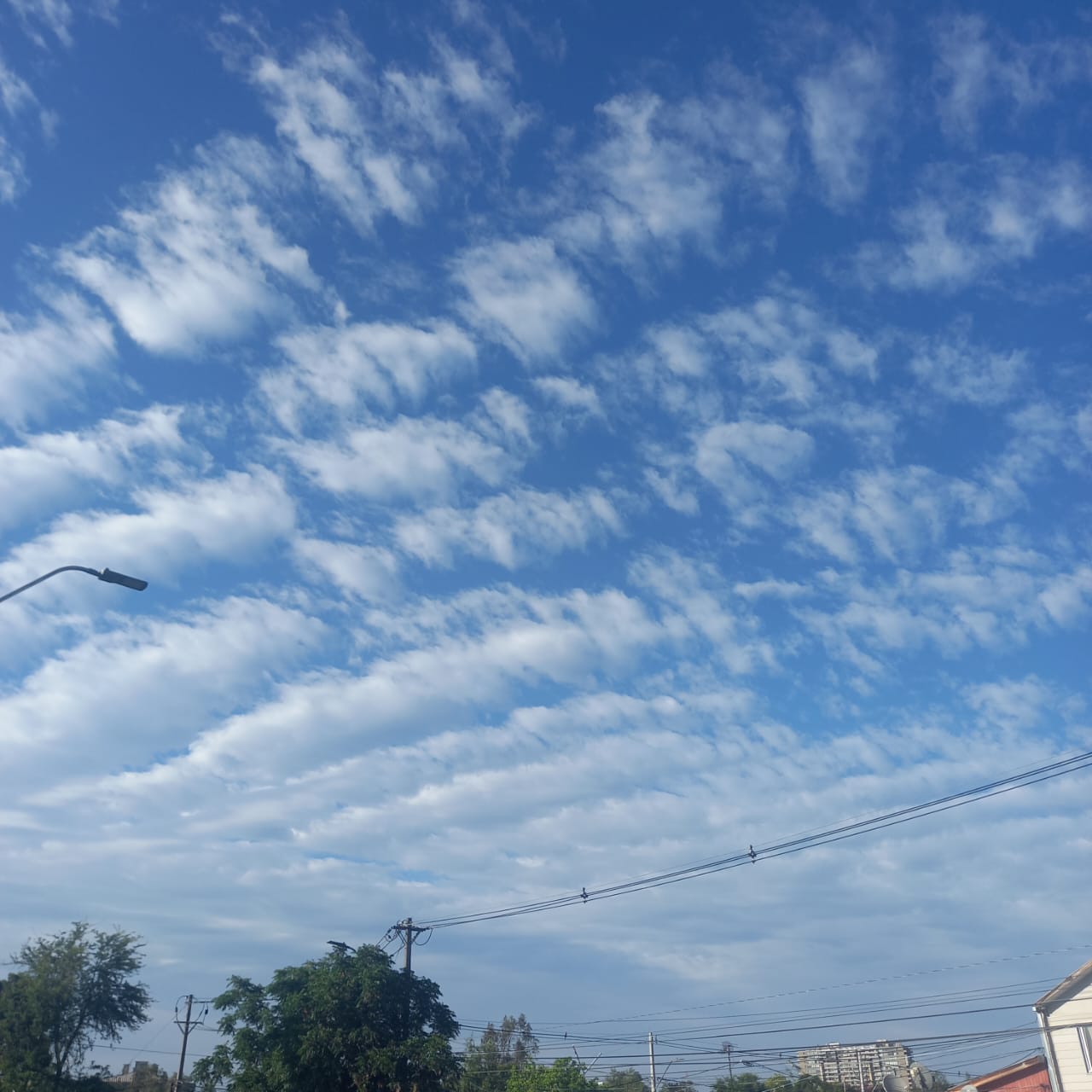 60ce1906-4d88-42a0-8f17-230309df7d59.jpg