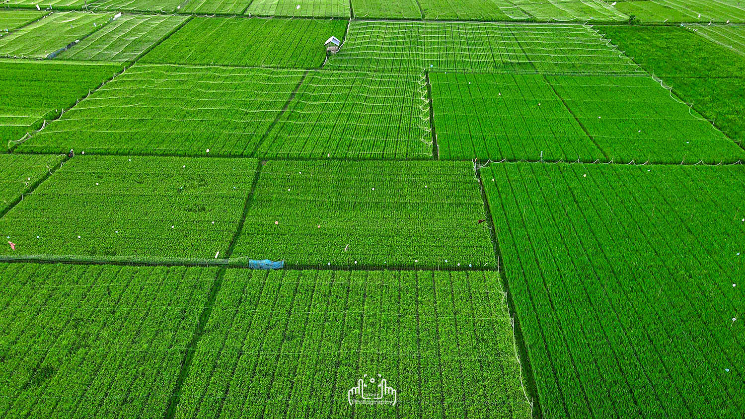 DJI_0328.JPG