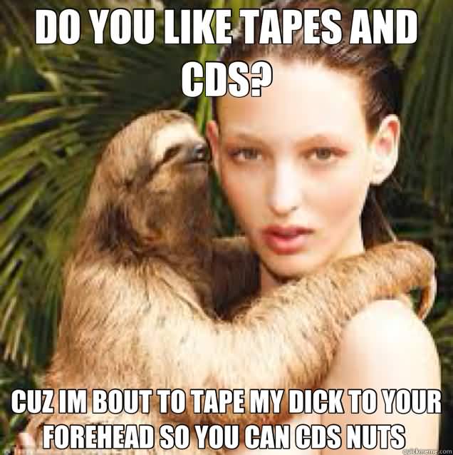 DoyouliketapesandcdsFunnySlothWisperMemes.jpg