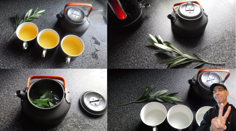 olive-leaf-tea.png