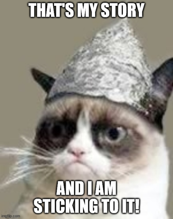 Screenshot 2022-06-30 at 16-55-41 Grumpy Cat Tin Foil Meme Generator - Imgflip.png