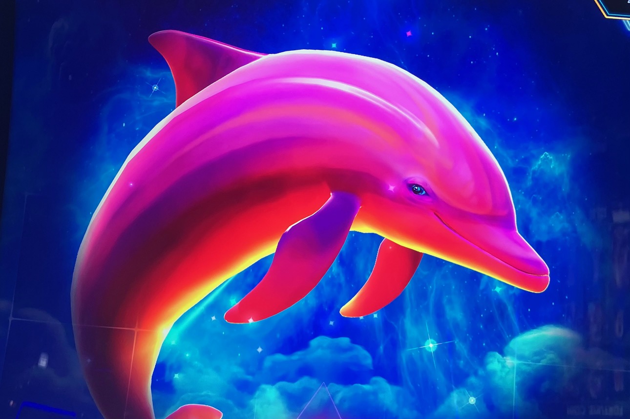 Dolphin....jpg