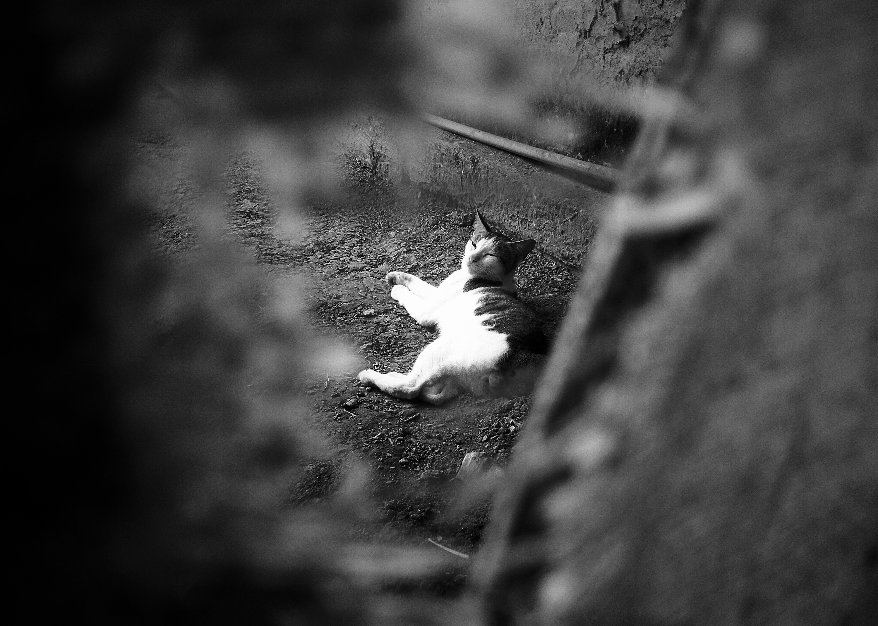 IMG20211007125211-01.jpeg
