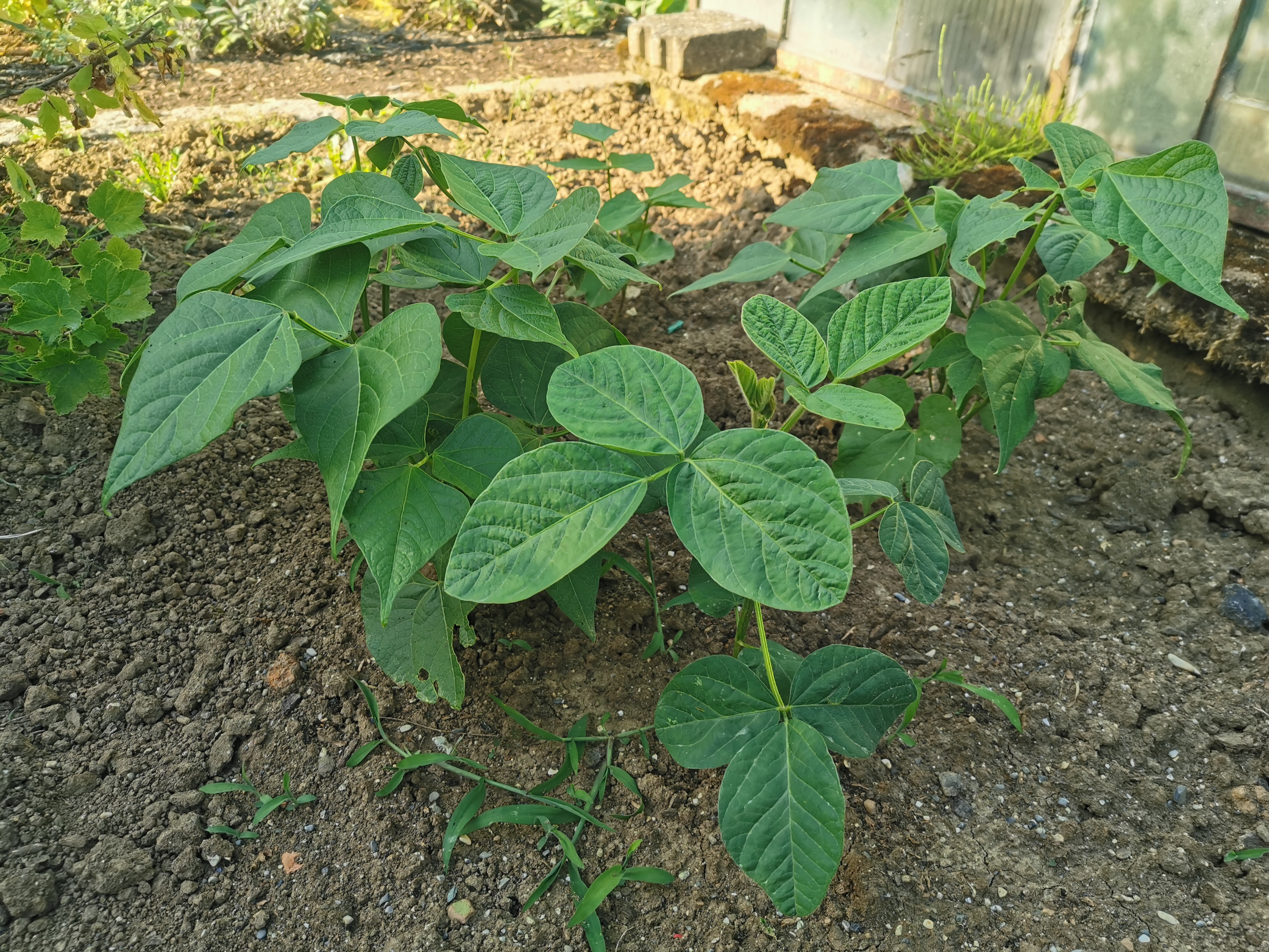 IMG_20230707_185548.jpg