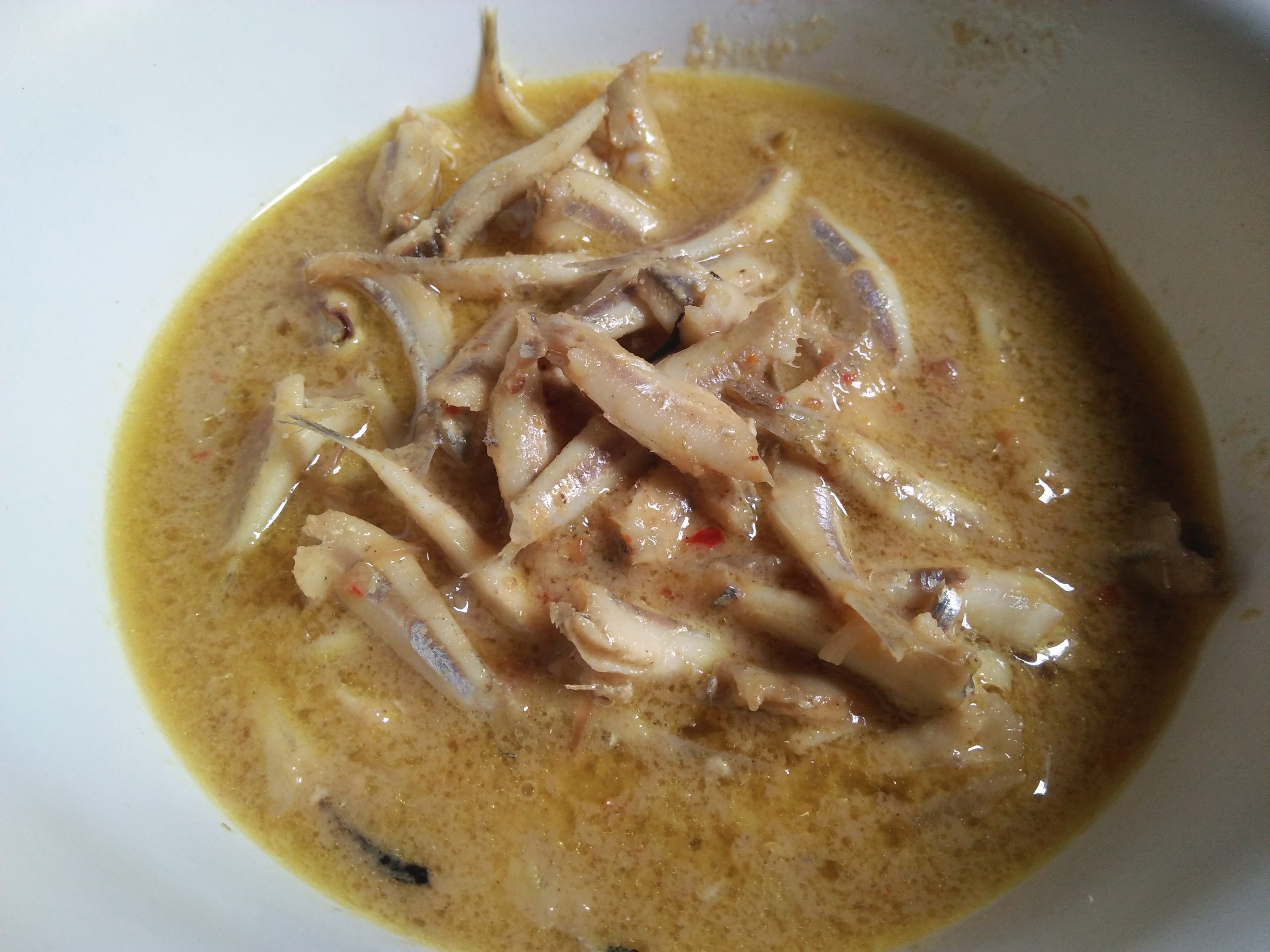 IMG20250520130439.jpg